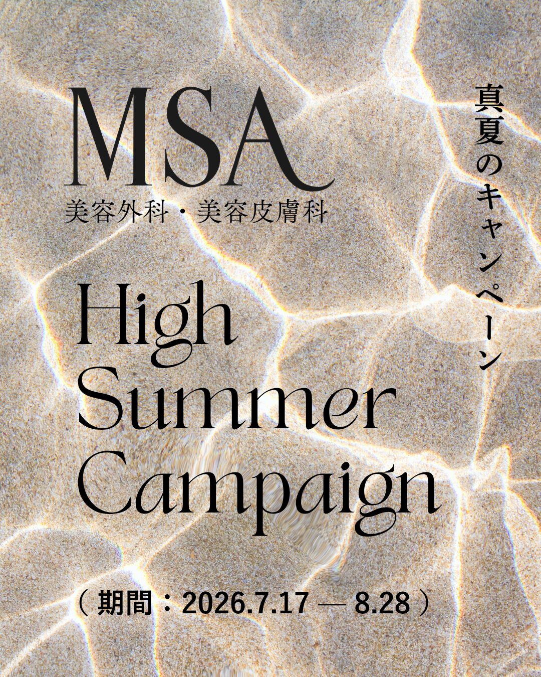 ニュース