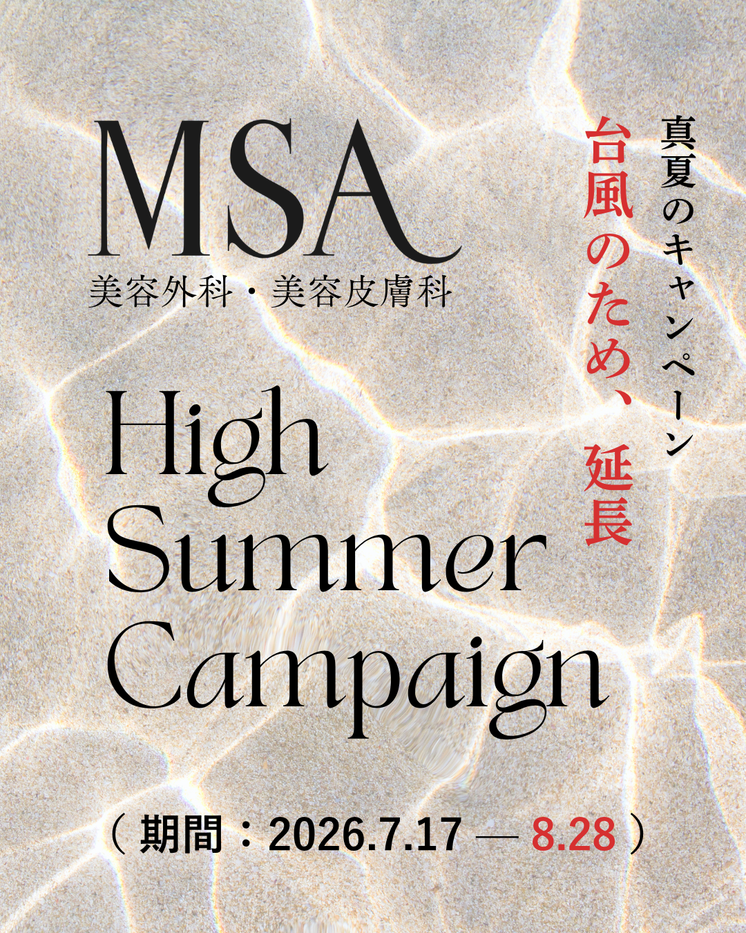 ニュース